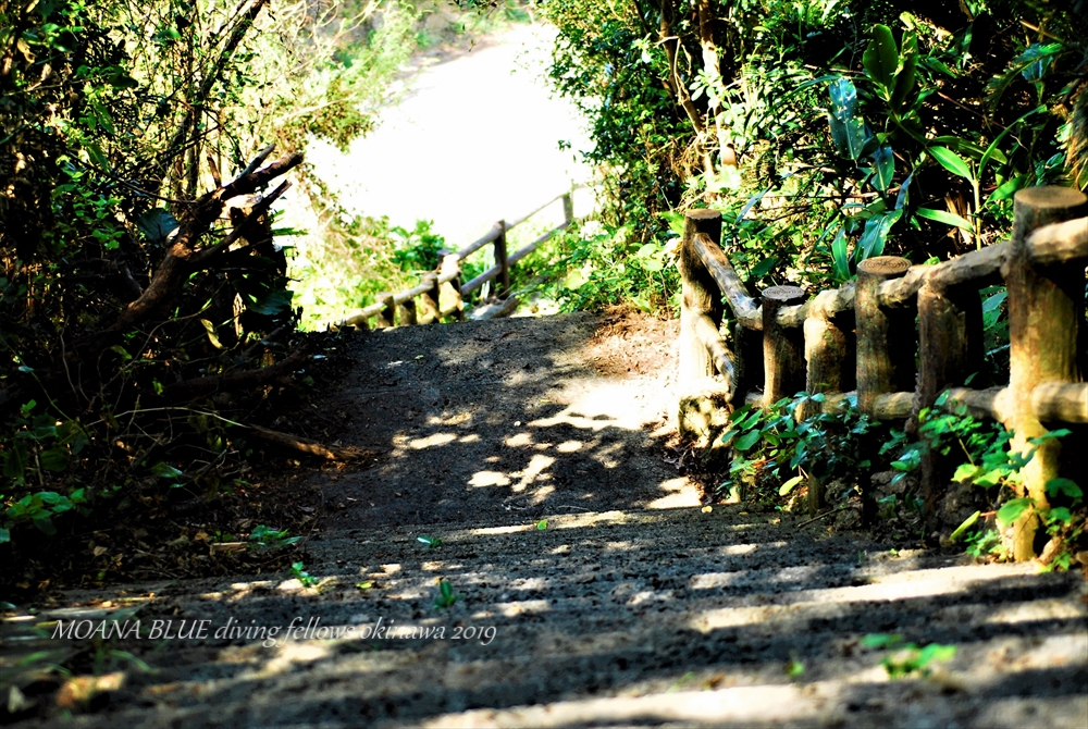 沖縄絶景スポット