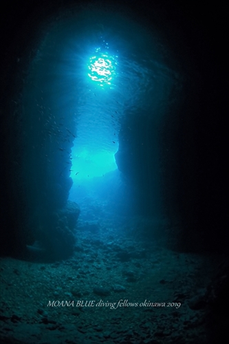 早朝青の洞窟体験ダイビング