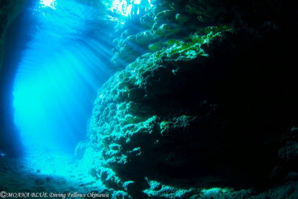 早朝沖縄県青の洞窟体験ダイビング