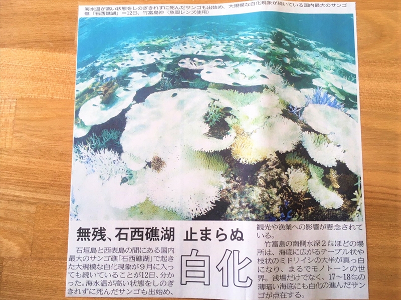 沖縄サンゴ白化現象
