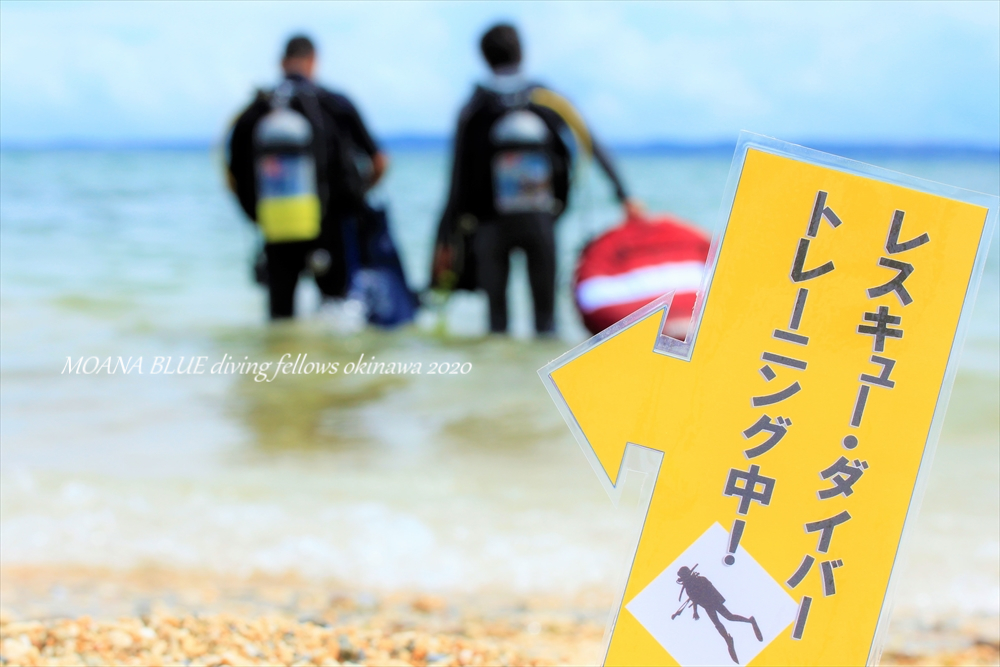 沖縄ダイビングライセンス講習