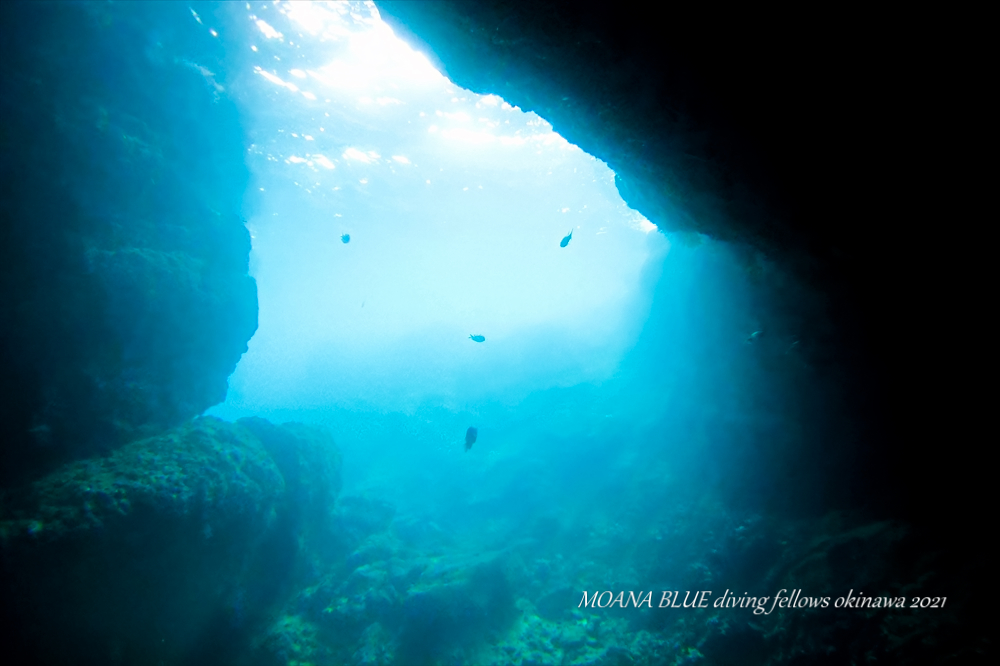 沖縄体験ダイビング｜青の洞窟