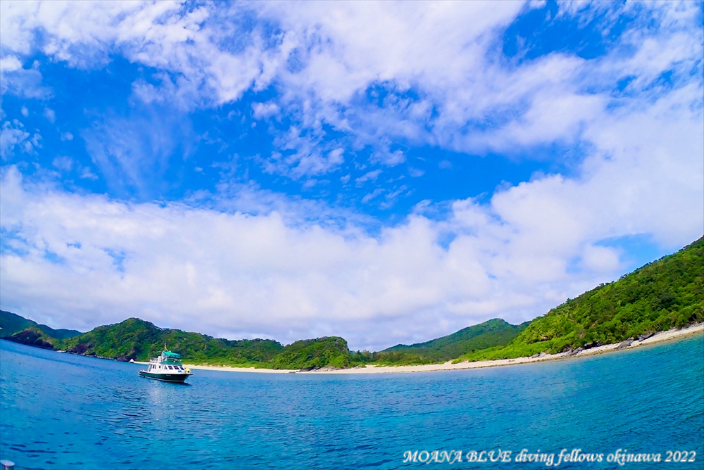 慶良間諸島（ケラマ）｜沖縄ボートダイビング