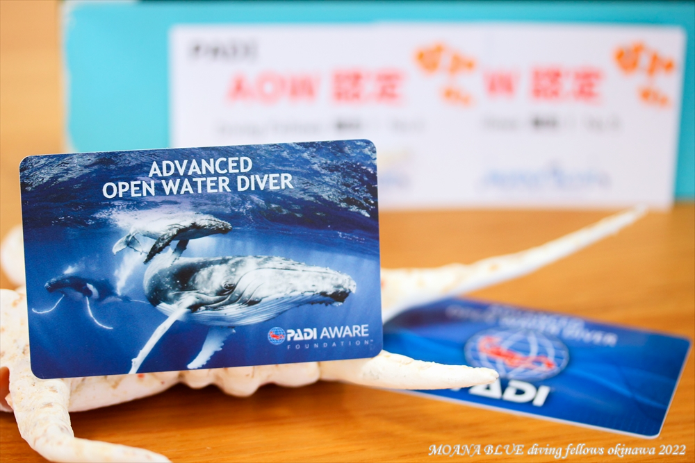 AWARAデザインカード｜ザトウクジラ